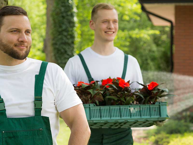 How to Choose a Landscaping Company