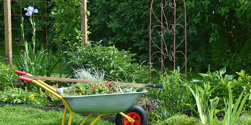 Before You Begin Make Sure Your Gardening Tools Are Ready For Action