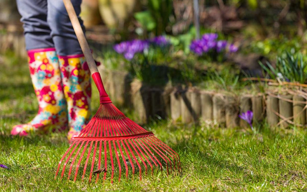 The Ultimate Spring Yard Cleanup Checklist to Get Your Lawn Ready for the Season