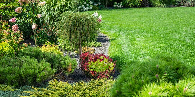 Landscaping Design Elements Are About Bringing Life