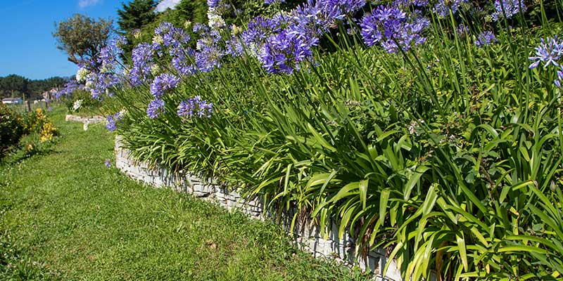 Low Retaining Walls Tame Gentle Slopes Turn Them Into Usable 2