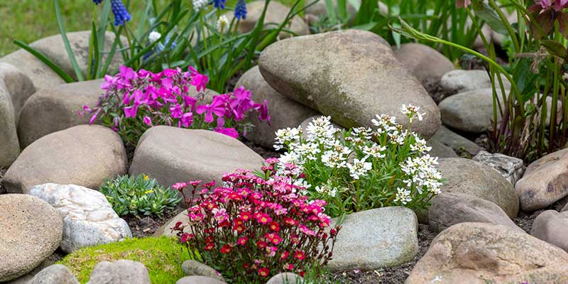 One Of The Best Inexpensive Yard Ideas Is To Build A Rock