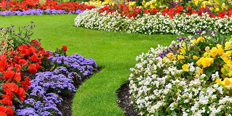 While Hardscaping Provides The Framework For Your Outdoor