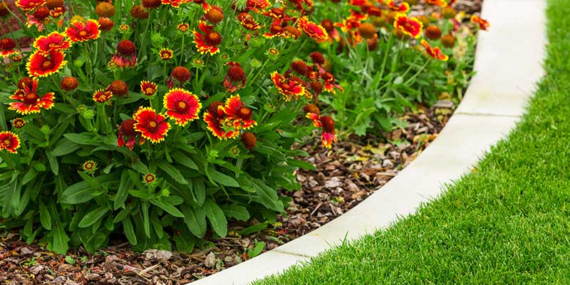 You Can Give Your Plant Beds A Polished Frame With Edges