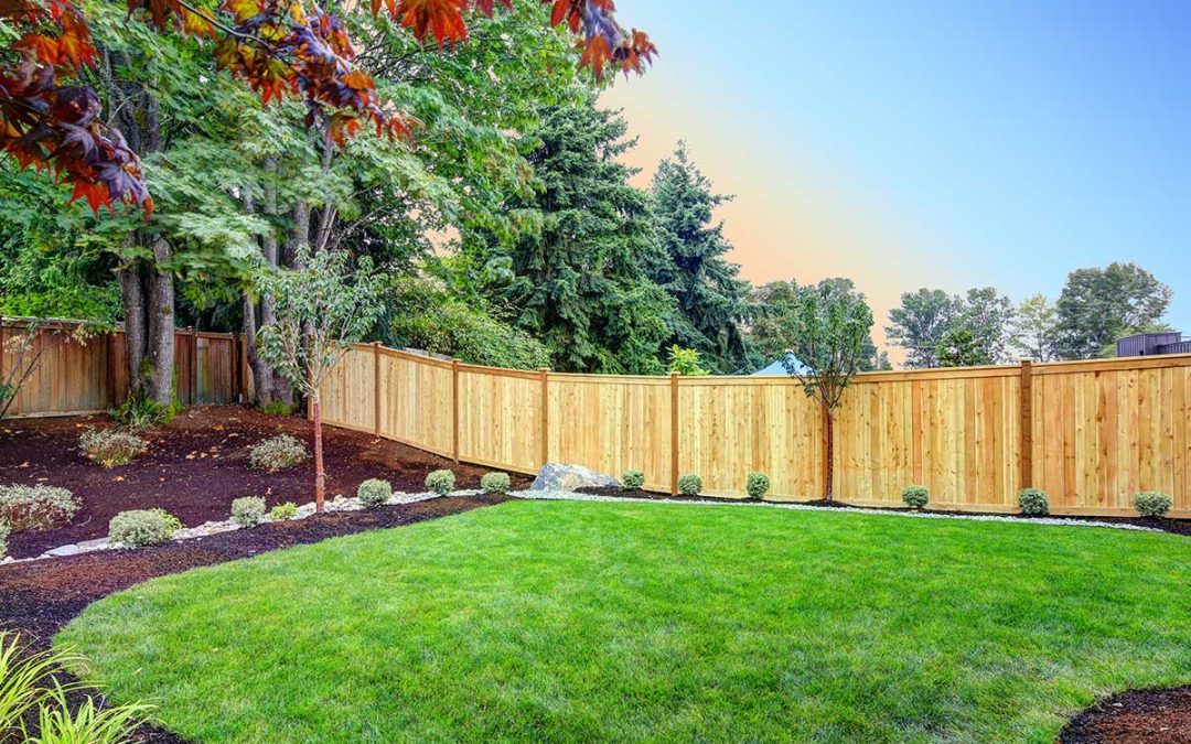 Landscape Maintenance Checklist: Must-Do Tasks by Season