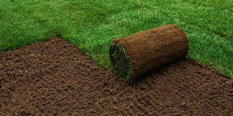 In Landscaping Sod Also Called Turf Grass Refers To Sections