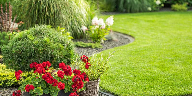 Installing Sod Comes With Numerous Benefits